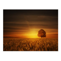 Sonnenuntergang Postkarte