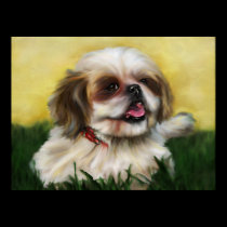 Sophie Shih Tzu posters