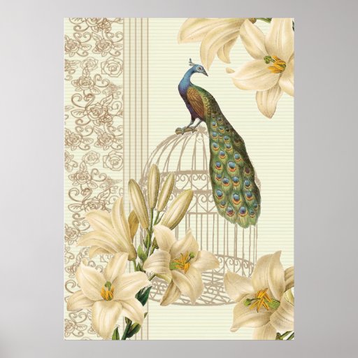 Sophisticated vintage Peacock & Cage Lily Poster