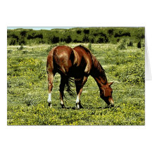 Sorrel Horse Greeting Card