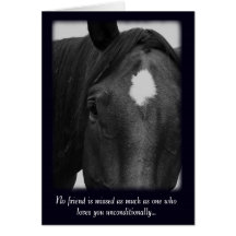 Sorry for the Loss of Your Horse Sympathy Card