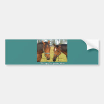 Sorry For Your Loss, Sympathy Two Sad Horses Bumper Stickers