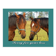 Sorry For Your Loss, Sympathy Two Sad Horses Post Cards