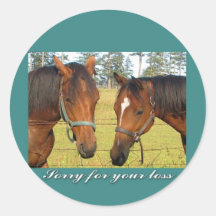 Sorry For Your Loss, Sympathy Two Sad Horses Sticker
