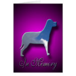 Sorry To Hear About Loss Of Your Dog cards
