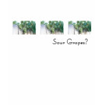 Sour Grapes? Shirt