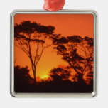 South Africa.  African sunset. Christmas Tree Ornaments