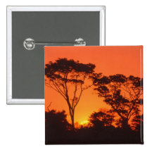 South Africa.  African sunset. Pins