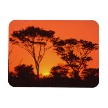South Africa.  African sunset. Vinyl Magnets