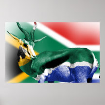 South Africa Springbock Flag Poster