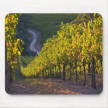 South Australia, Adelaide Hills, Summertown. 2 Mousepad