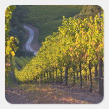 South Australia, Adelaide Hills, Summertown. 2 Stickers