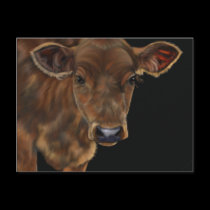 South West Calf postcards