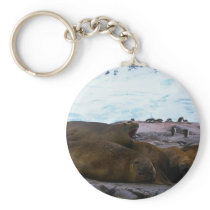 Southern Elephant Seals keychains