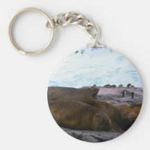Southern Elephant Seals Keychains