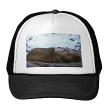 Southern Elephant Seals Mesh Hats