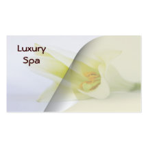 Spa  businesscards business card templates