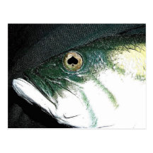 Spades Fish Eyes Poker Art Postcard