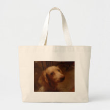 Spaniel Guards Your Bag!