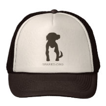 SPARED hat - brown and tan, logo