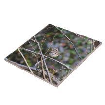 Sparrow in the Brush 2 Tile