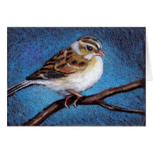 SPARROW: OIL PASTEL: BIRD: NOTE CARDS