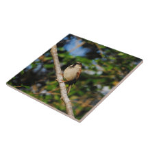 Sparrow on a Branch Ceramic Tiles