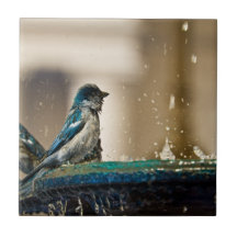 Sparrows In Blue Ceramic Tile