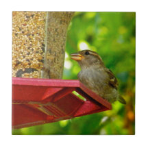 Sparrows in the Backyard Ceramic Tile