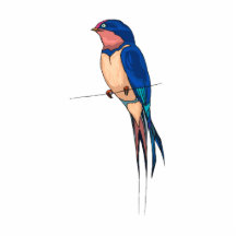 Sparry Sparrow Photo Cutouts