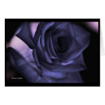 Special Blue Rose Baby's Breath Card (blank)