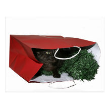 Special Christmas gift Post Cards