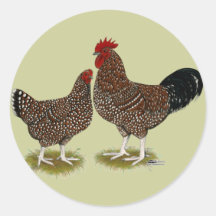 Speckled Sussex Chickens Round Stickers