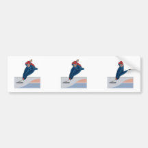 speed skater bumper sticker
