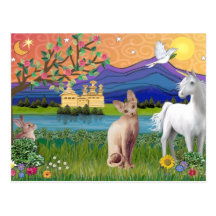 Sphynx Cat 1 - Fantasy Land Postcards