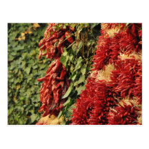 Spicy Postcards
