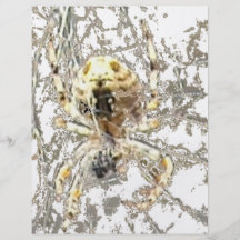 Spider Closeup Mystic Web Personalized Flyer