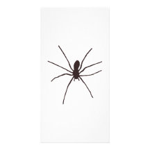 spider customized photo card
