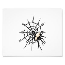 Spider in web halloween graphic photograph