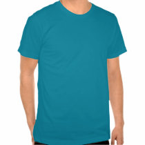 Spider on the Prowl t-shirts