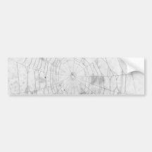 Spider web bumper sticker