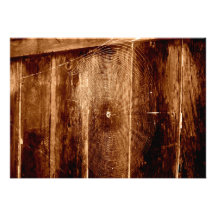 Spider Web On Fence Personalized Invites