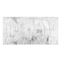 Spider web picture card