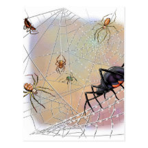 Spiders Postcard