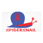 spidersnail icon photo cards