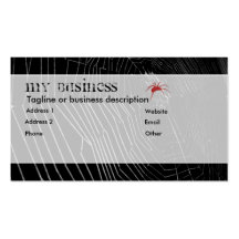 Spiderweb Business Card