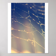 Spiderweb Posters