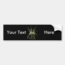 spiny orchid bumper sticker