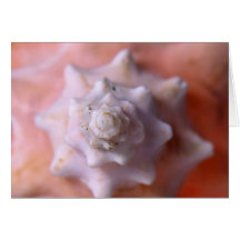 Spiral Greeting Cards