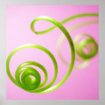 Spirals on Pink Print